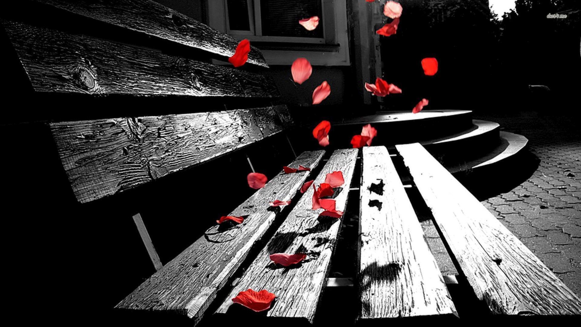 29393-rose-petals-falling-on-a-bench-1920x1080-photography-wallpaper